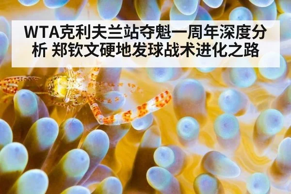 WTA克利夫兰站夺魁一周年深度分析 郑钦文硬地发球战术进化之路