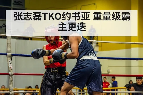 张志磊TKO约书亚 重量级霸主更迭